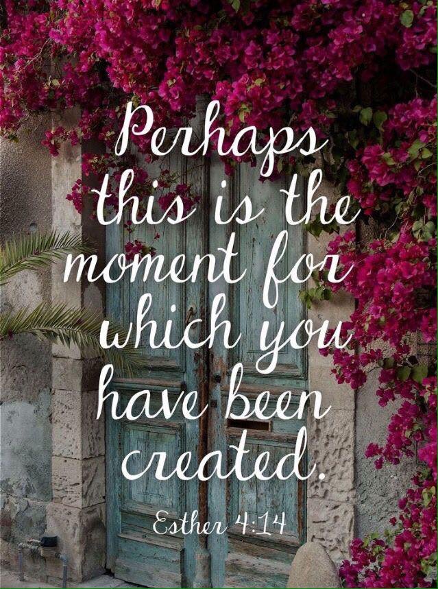 Sunday Inspiration